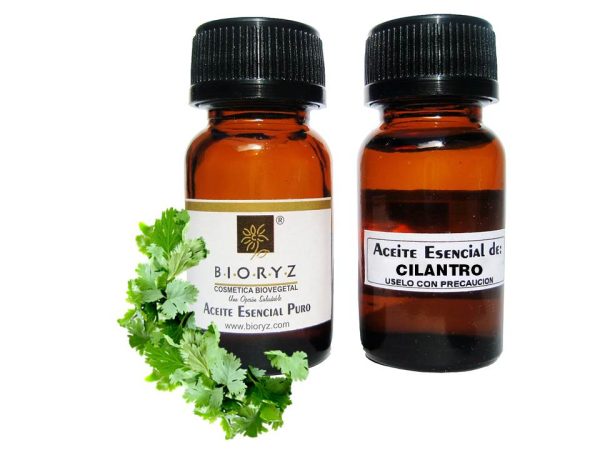 CILANTRO Aceite Esencial x  6 ml